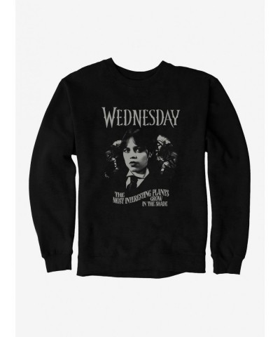 Exclusive Price Wednesday Most Interesting Plants Sweatshirt $14.76 Sweatshirts